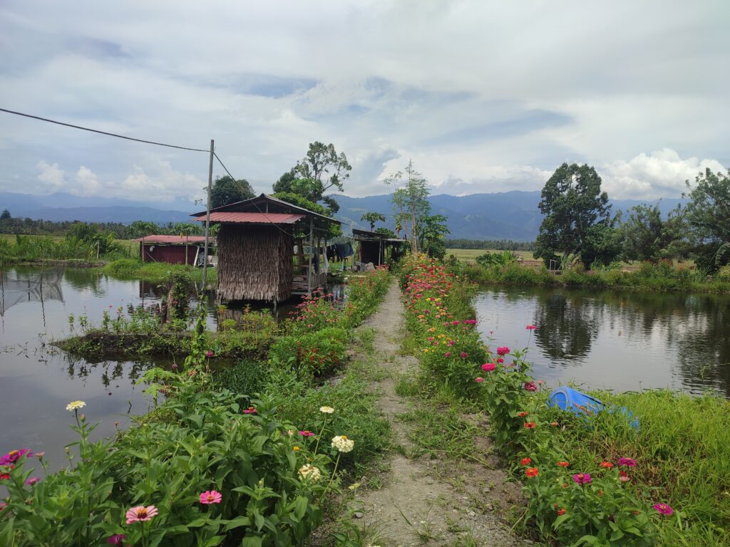 Taman dan Kolam SPR – Edukasi Perikanan Rakyat Bernuansa Alam