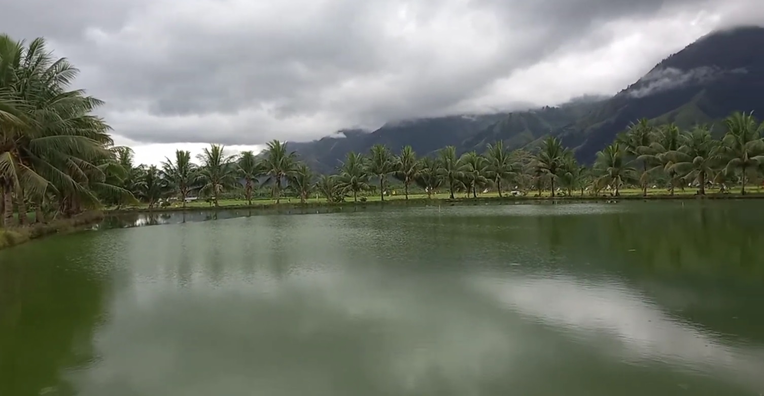 Wisata Kolam Air Tawar Desa Bobo Kecamatan Dolo Barat Kabupaten Sigi